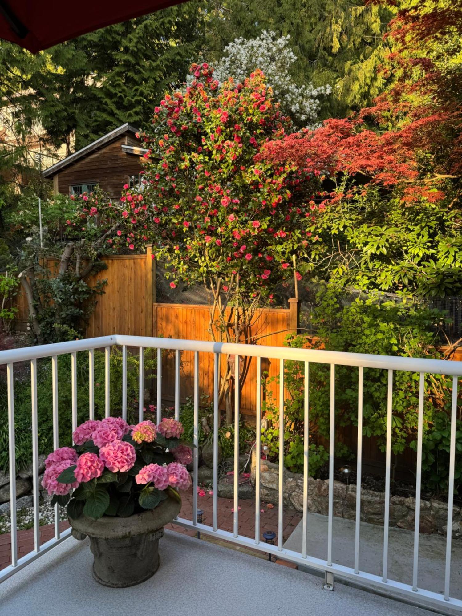 Beautiful Modern Suite North Vancouver Zewnętrze zdjęcie