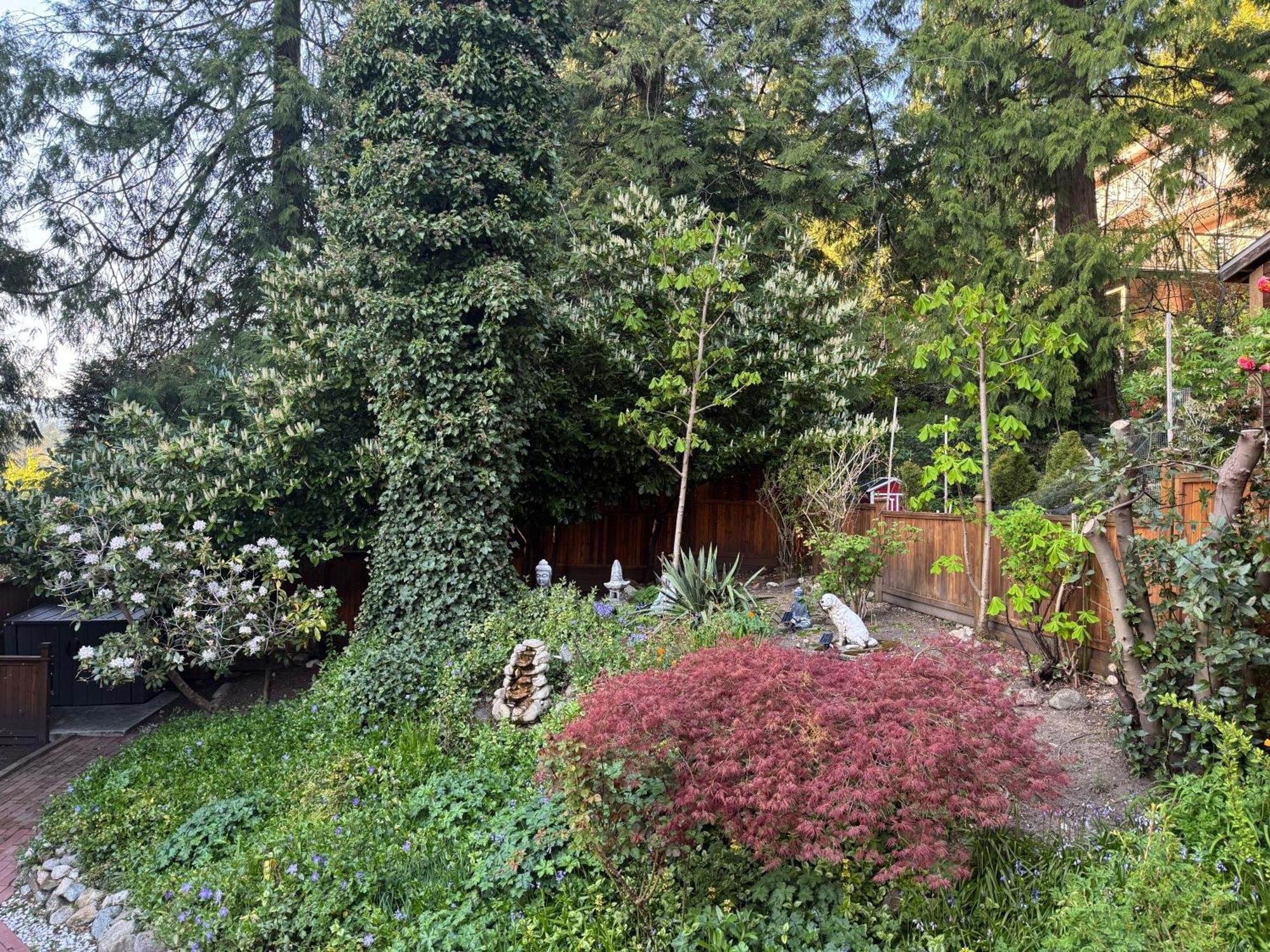 Beautiful Modern Suite North Vancouver Zewnętrze zdjęcie
